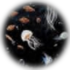 Underwater world projection